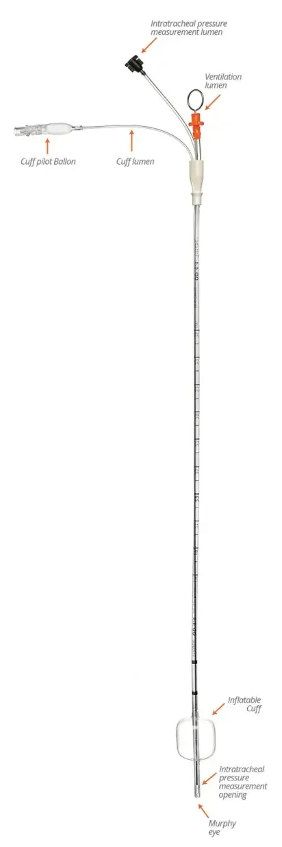 Potential Benefits Tritube®